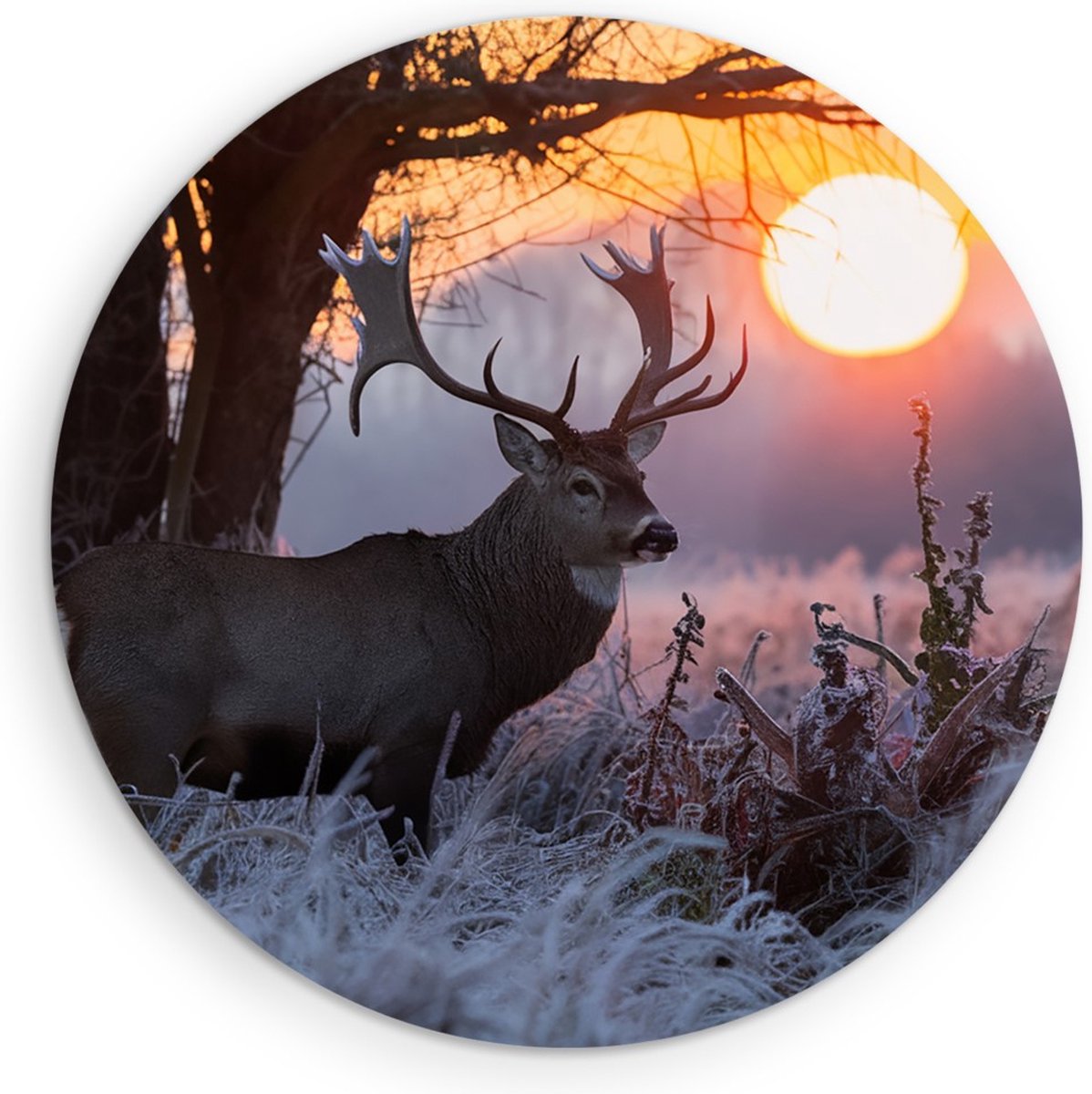 Saammp Forex Muurcirkel - Hert - Winter - Natuur - Dieren - Ø 50 - Wandcirkel - Wanddecoratie Cirkel - Muurdecoratie Woonkamer - Slaapkamer decoratie - Rond Schilderij