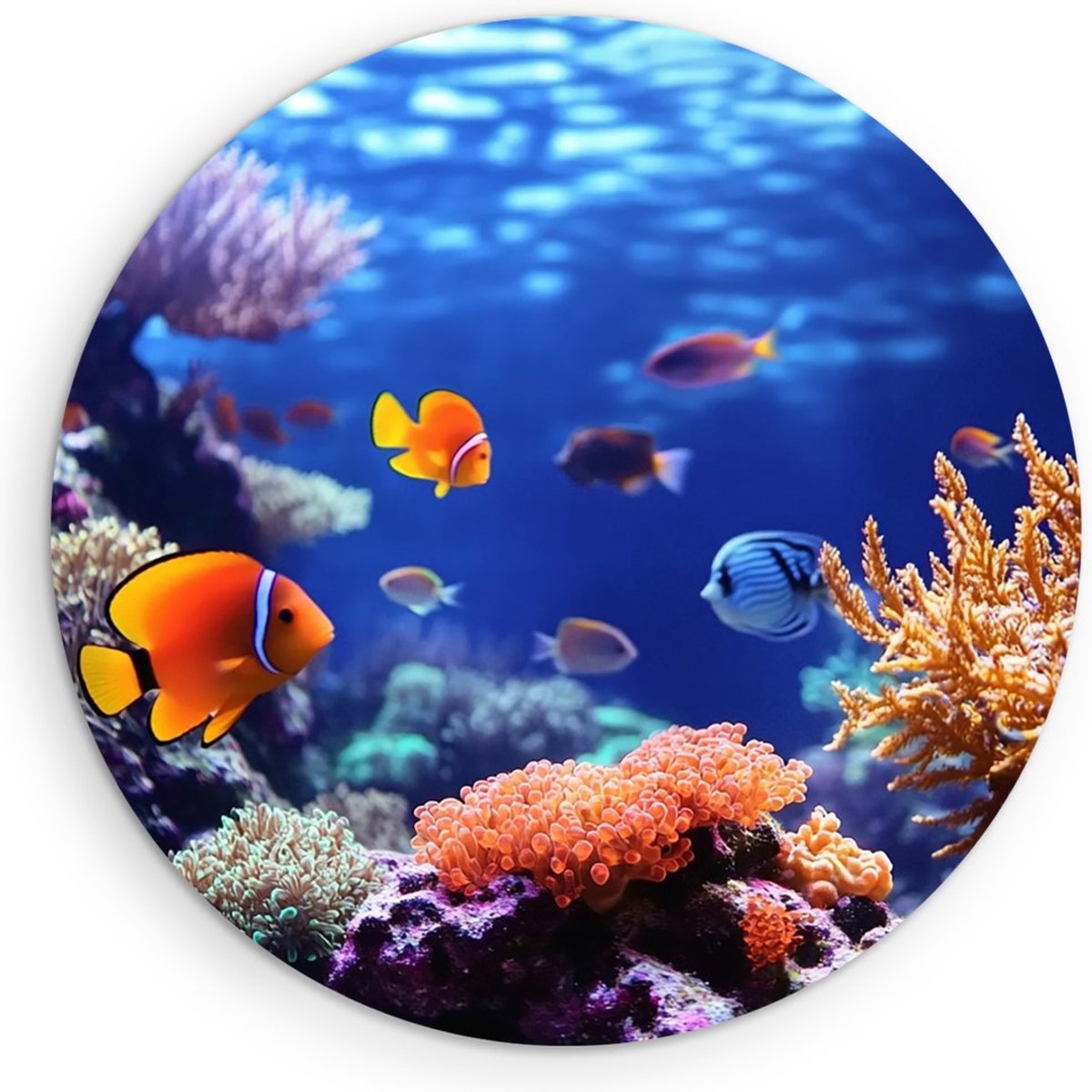Saammp Forex Muurcirkel - Vissen - Koraal - Landschap - Natuur - Ø 80 - Wandcirkel - Wanddecoratie Cirkel - Muurdecoratie Woonkamer - Slaapkamer decoratie - Rond Schilderij