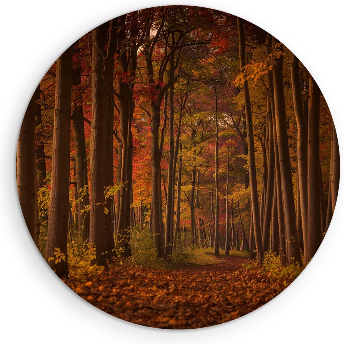 Saammp Muurcirkel Hout - Herfstbos - Pad met zonsondergang - Landschap - Natuur - Ø 30 - Wandcirkel - Wanddecoratie Cirkel - Muurdecoratie Woonkamer - Slaapkamer decoratie - Rond Schilderij