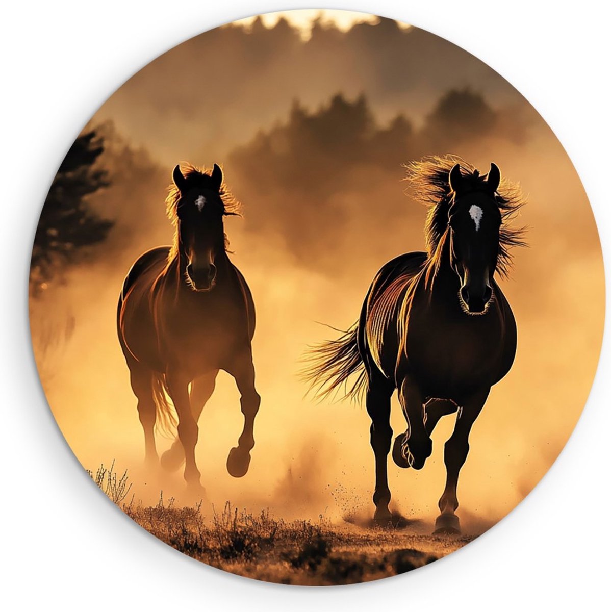 Saammp Forex Muurcirkel - Paarden in Galop - Natuur - Dieren - Ø 90 - Wandcirkel - Wanddecoratie Cirkel - Muurdecoratie Woonkamer - Slaapkamer decoratie - Rond Schilderij