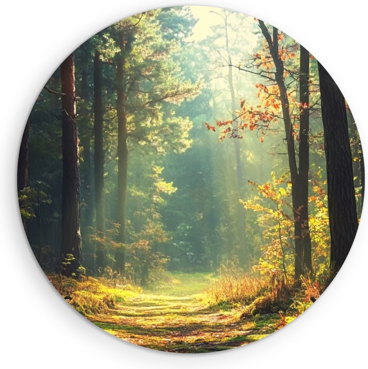 Saammp Forex Muurcirkel - Botanisch - Bos - Herfstachtig - Landschap - Natuur - Ø 90 - Wandcirkel - Wanddecoratie Cirkel - Muurdecoratie Woonkamer - Slaapkamer decoratie - Rond Schilderij