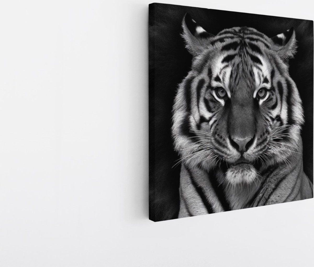 Saammp Canvas Schilderij - Tijger Portret - Abstract - Dieren - 60x60 - Foto op canvas - Wanddecoratie - muurdecoratie Woonkamer - Slaapkamer decoratie - Canvas Print Multicolor