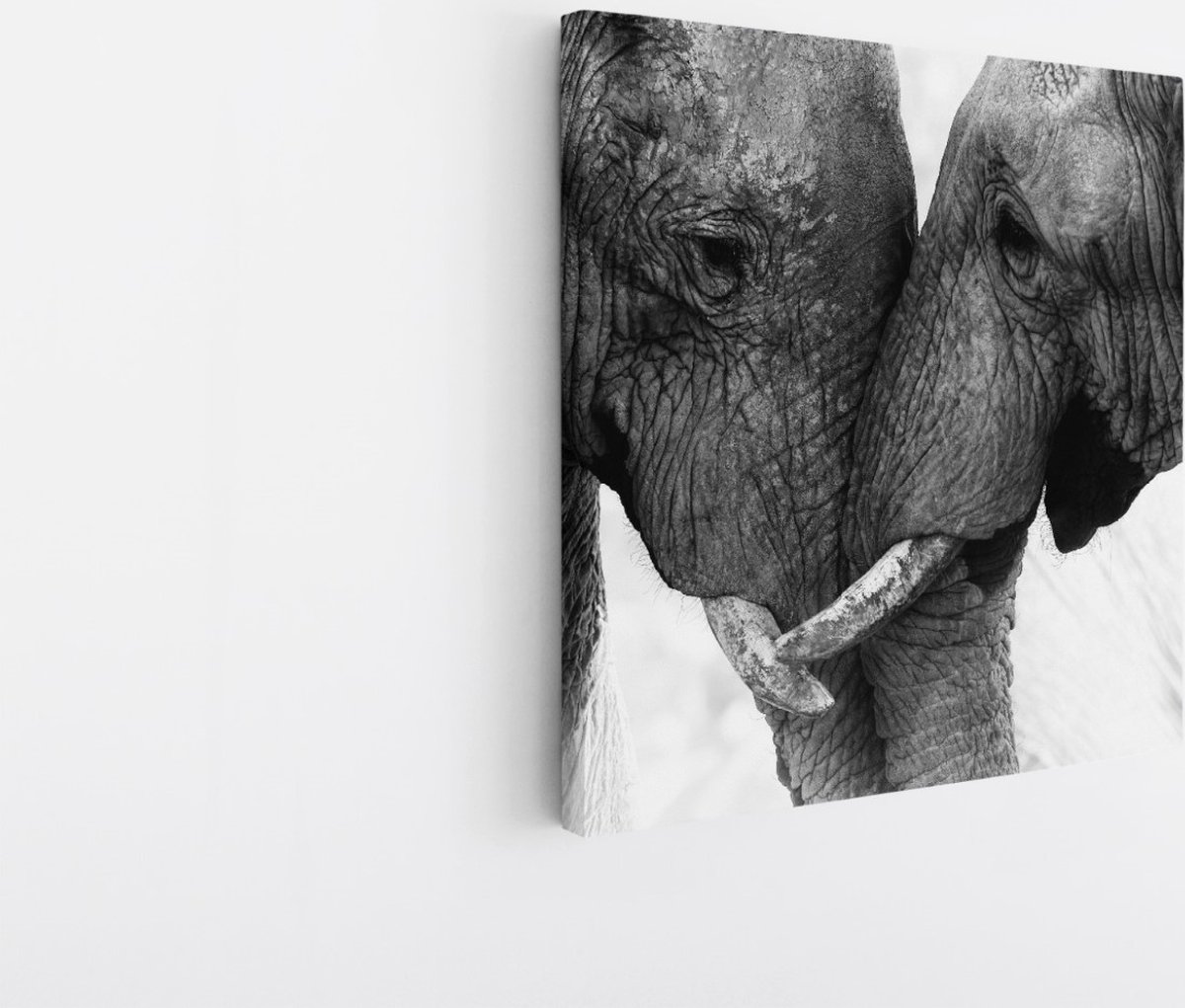 Saammp Canvas Schilderij - 2 Olifanten - Liefdevol - Natuur - Dieren - 30x30 - Foto op canvas - Wanddecoratie - Muurdecoratie Woonkamer - Slaapkamer decoratie - Canvas Print Multicolor