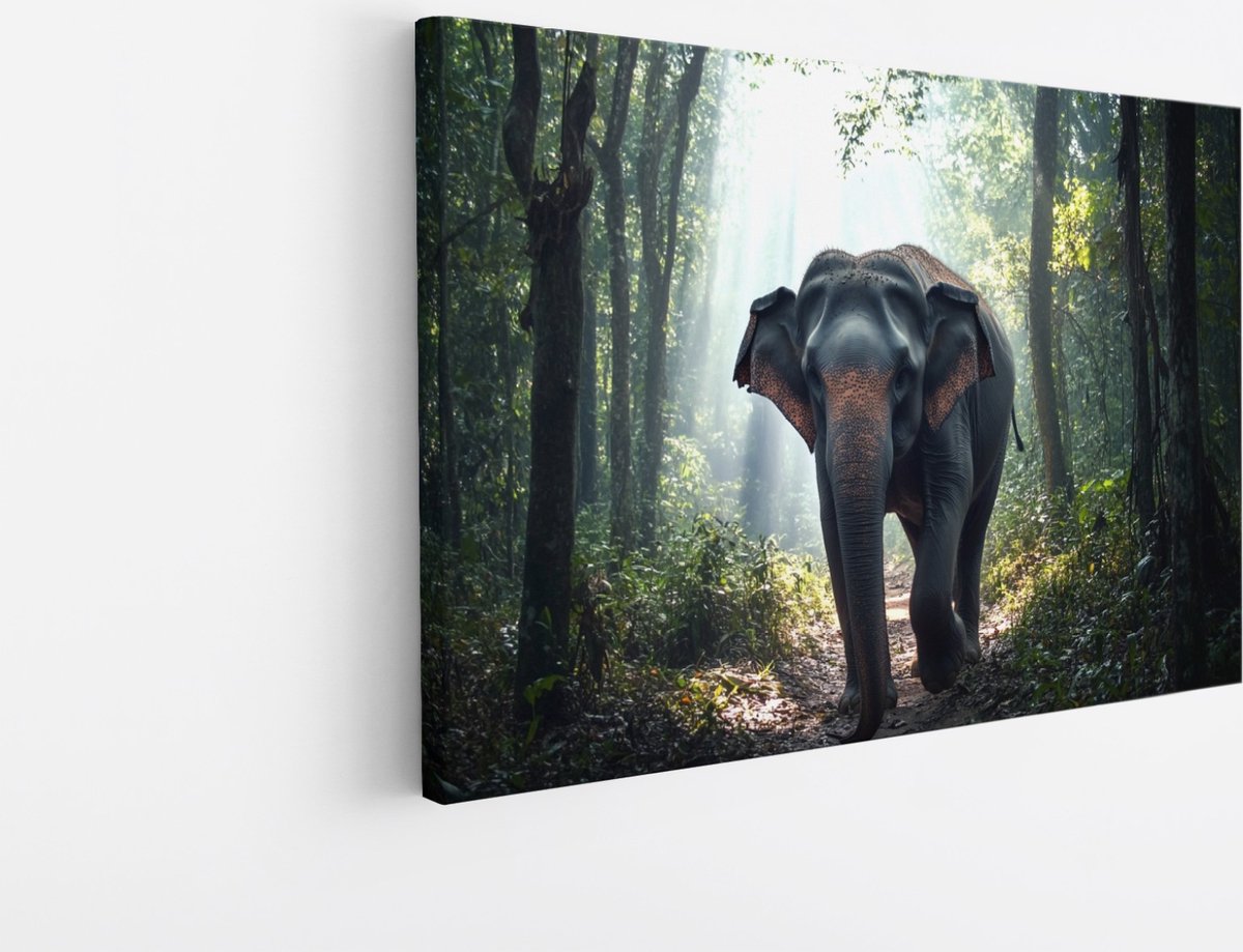 Saammp Canvas Schilderij - Olifant in bos - Dieren - 50x40 - Foto op canvas - Wanddecoratie - muurdecoratie Woonkamer - Slaapkamer decoratie - Canvas Print Multicolor