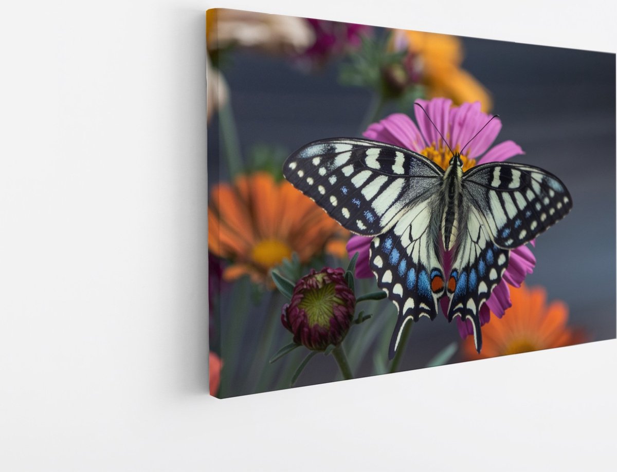 Saammp Canvas Schilderij -Grote Vlinder bij paarse bloem - Dieren - Natuur - 50x40 - Foto op canvas - Wanddecoratie - muurdecoratie Woonkamer - Slaapkamer decoratie - Canvas Print Multicolor