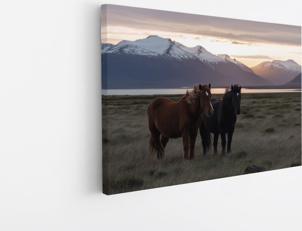 Saammp Canvas Schilderij - Paarden in bergachtig landschap- Dieren - Natuur - 45x30 - Foto op canvas - Wanddecoratie - muurdecoratie Woonkamer - Slaapkamer decoratie - Canvas Print Multicolor