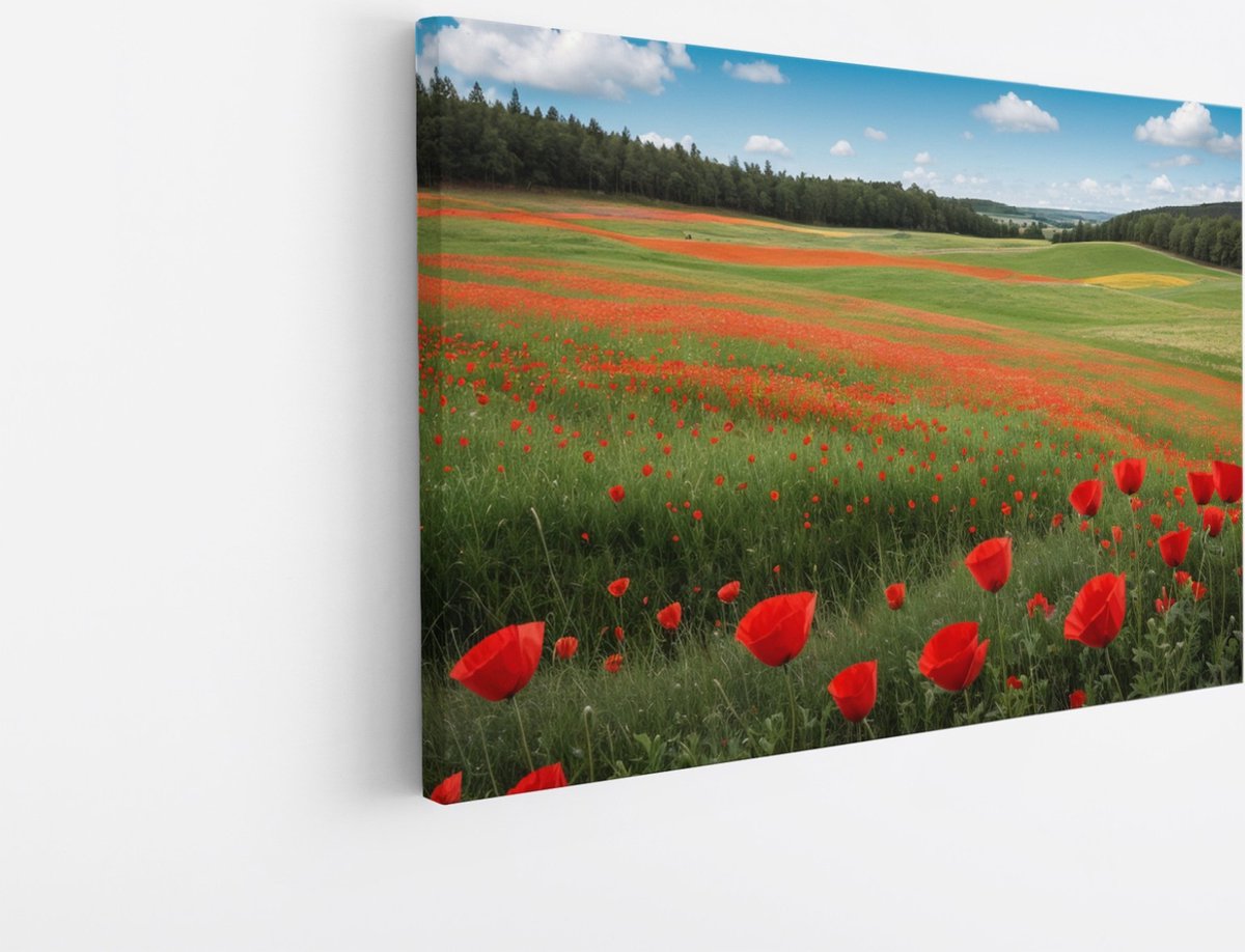 Saammp Canvas Schilderij - Tulpenveld - Natuur - Landschap - 70x50 - Foto op canvas - Wanddecoratie - Muurdecoratie Woonkamer - Slaapkamer decoratie - Canvas Print Multicolor