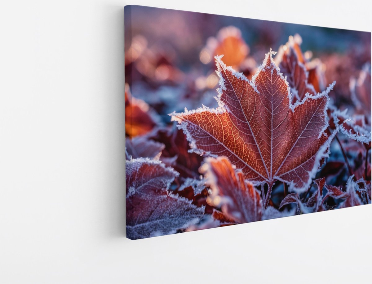 Saammp Canvas Schilderij - Bevroren Blad - Natuur - Abstract - 50x40 - Foto op canvas - Wanddecoratie - Muurdecoratie Woonkamer - Kantoor Decoratie Multicolor