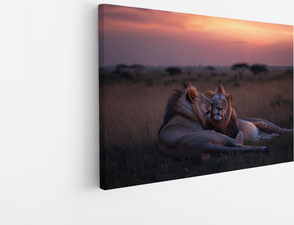 Saammp Canvas Schilderij - Leeuwen liggen tegen elkaar aan - Dieren - Liefde - 50x40 - Foto op canvas - Wanddecoratie - Muurdecoratie Woonkamer - Slaapkamer decoratie - Canvas Print Multicolor