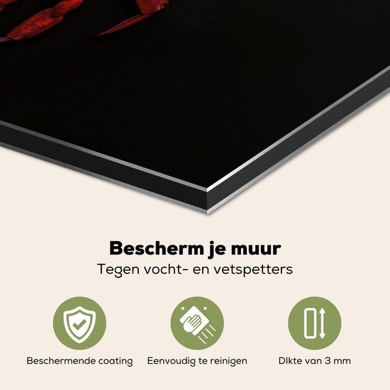 Crédence de Cuisinière en Aluminium 60x40 cm - Crabe - Rouge - Néon - Citation - Écran Pare-éclaboussures pour Plaque de Cuisson - Protection Murale