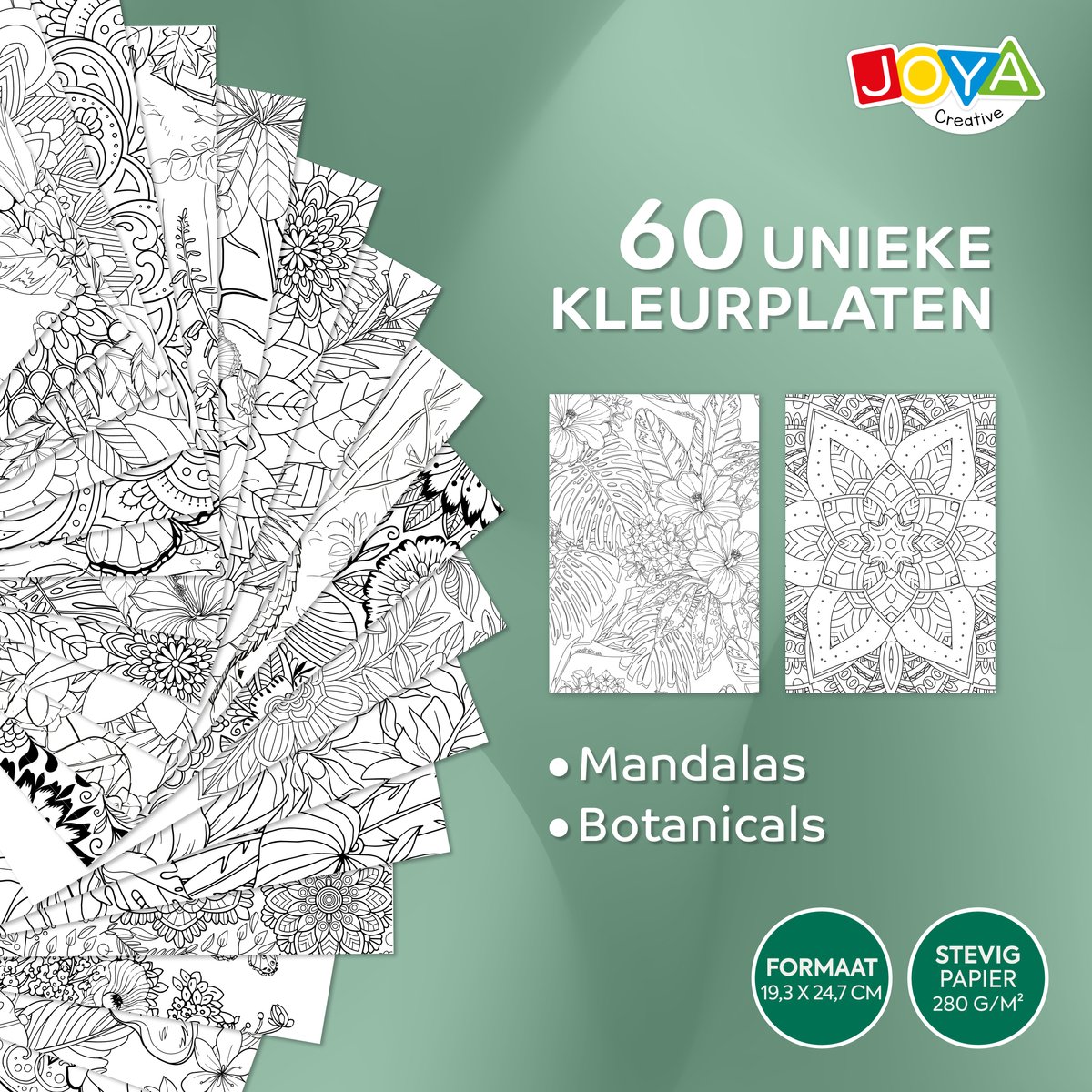 Luxe Kleurboek voor Volwassenen - Thema Botanisch & Mandala Designs - Ringbinding met Uitscheurbare Pagina’s - 60 Kleurplaten van 24,6 x 19,2 cm - 280 grams - Volwassen Kleurboek - Tekenen & Kleuren - Joya Creative — afbeelding 4