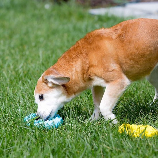 Gebitsreiniger voor honden - Waterdicht - Tandplakverwijderaar - Ultra