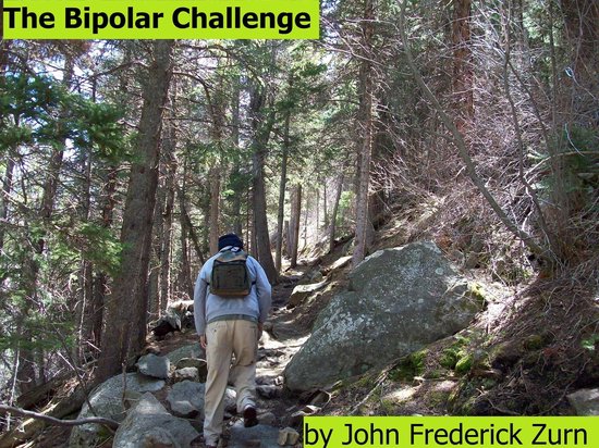 The Bipolar Challenge - cover