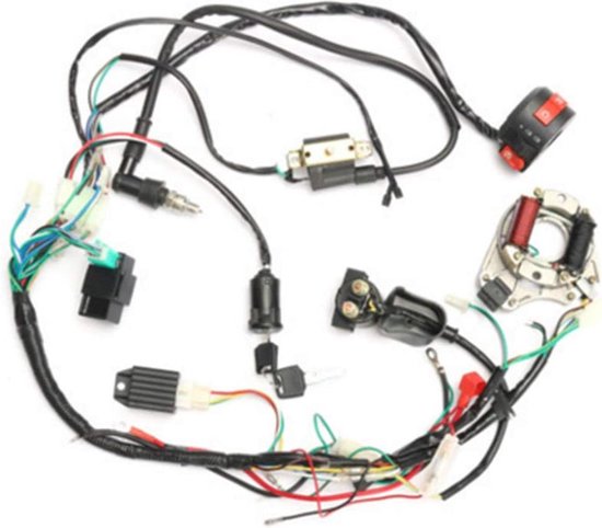 Stator du faisceau de câbles CDI, câblage Asembly, adapté à ATV, Quad