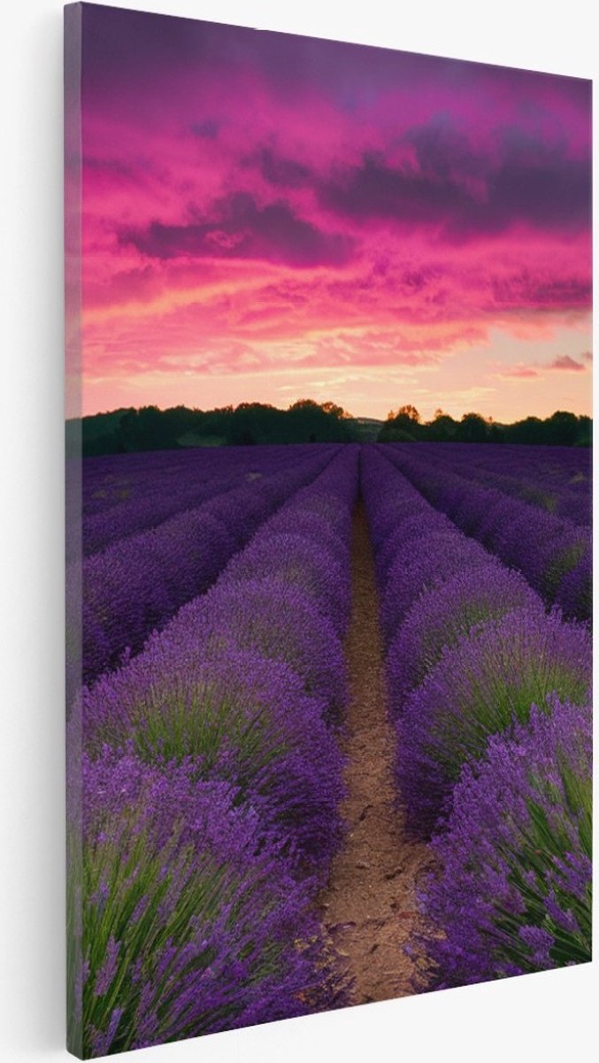 Saammp Canvas Schilderij - Lavendel met paarse lucht - Landschap - Natuur - 60x90 - Foto op canvas - Wanddecoratie - Muurdecoratie Woonkamer - Slaapkamer decoratie - Canvas Print Multicolor