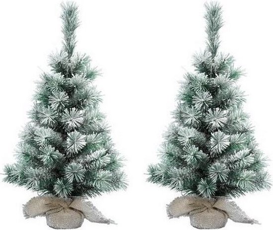 2x Mini kerstbomen besneeuwd 45 cm Kleine kerstboompjes met sneeuw | bol.com