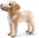 Steiff Kristopher Labrador hond 32 cm. EAN 083471