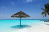 Poster Maldiven kust | Natuur poster | Poster strand | Poster landschap