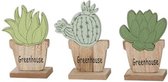 Figuren - Cactus / Succulent Green On Foot Wood 10x1.5x13cm 1pc Mixed