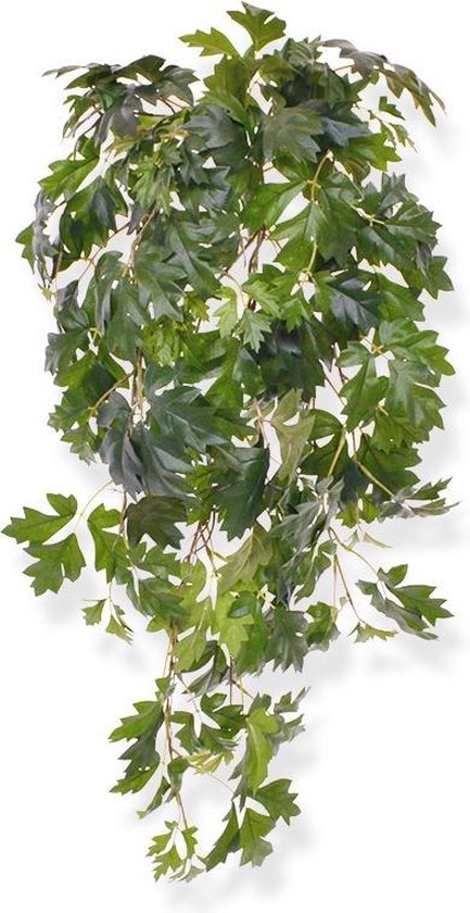 Maxifleur Cissus Kunsthangplant - 80 cm - Groen
