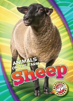Animals on the Farm - Sheep