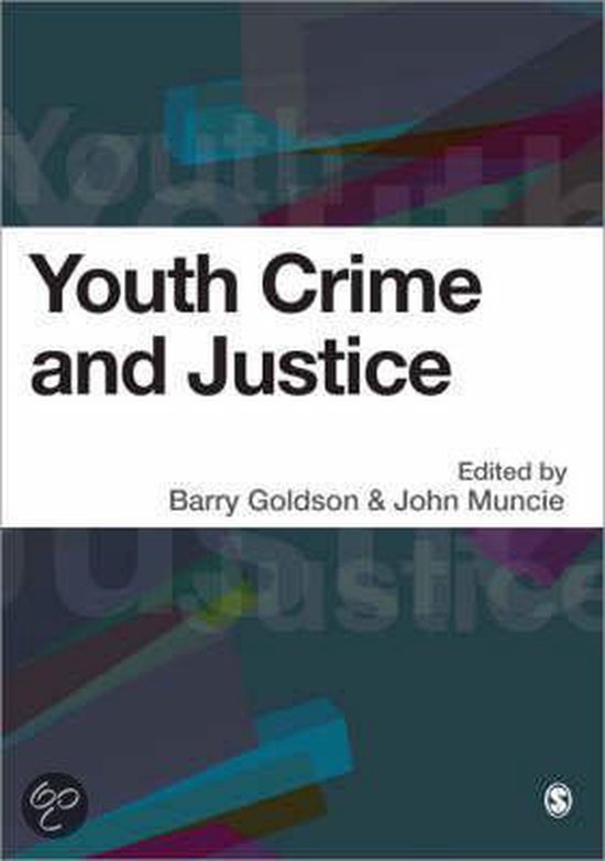 Youth, Crime And Justice | 9781412911382 | Barry Goldson | Boeken | bol.com