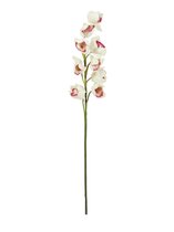 Europalms kunstbloemen voor binnen - bootorchidee - Cymbidium - wit-roze -  90 cm - nepbloemen