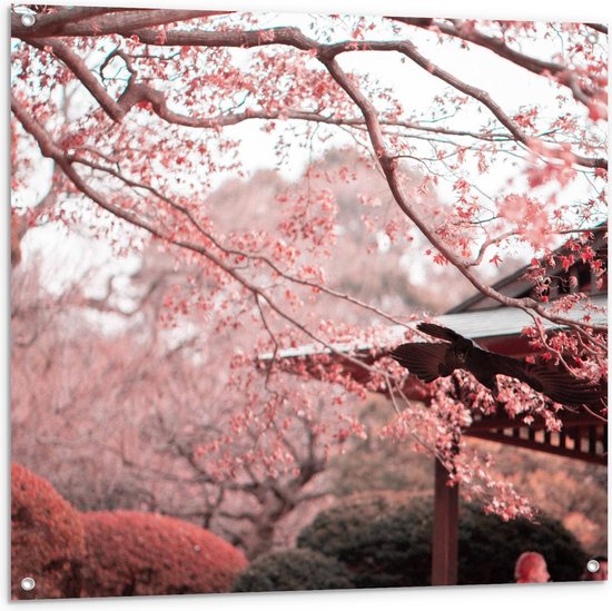 Tuinposter – Roze Bloesembomen - 100x100cm Foto op Tuinposter  (wanddecoratie voor buiten en binnen)