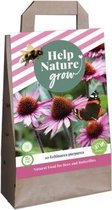 1 Tas 10 Echinacea Purpurea - Help Nature Grow