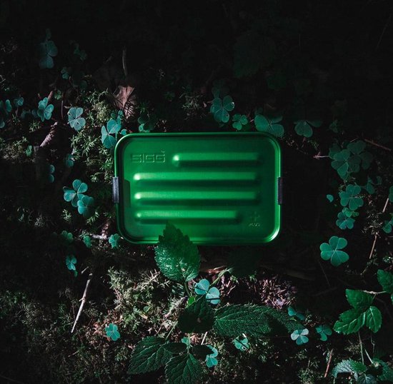 Boîte à lunch SIGG verte et nervurée, dans un environnement naturel verdoyant.