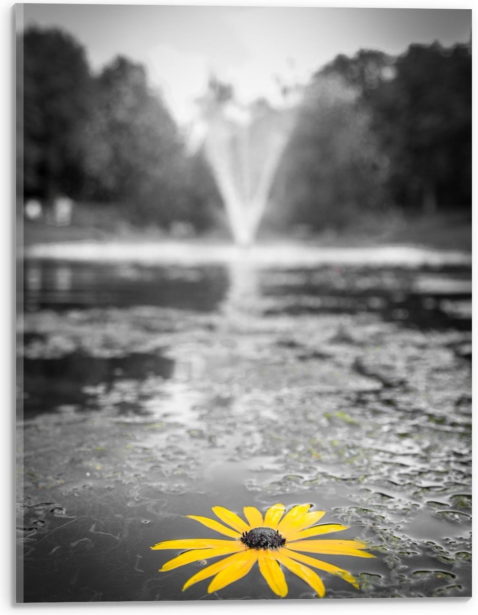 Acrylglas - Gele Bloem in het Water bij Fontein - 30x40cm Foto op Acrylglas (Wanddecoratie