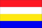 Vlag gemeente Renkum 150x225 cm