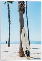 Acrylglas - Surfplank Tegen Palmboom op het Strand - 40x60cm Foto op Acrylglas (Met Ophangsysteem)
