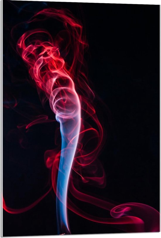 Acrylglas - Rode Rook - 60x90cm Foto op Acrylglas (Met Ophangsysteem)