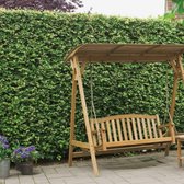 20 x Hedera helix 'Hibernica' - Ierse Klimop gestokt 60-80cm