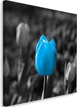 Schilderij Blauwe tulp in grijs veld, 80x80cm, blauw-grijs