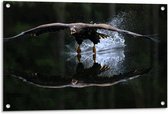 Tuinposter – Vogel op het Water - 90x60cm Foto op Tuinposter  (wanddecoratie voor buiten en binnen)