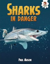 Wild World of Sharks - Sharks in Danger
