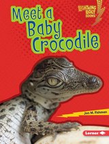 Lightning Bolt Books ® — Baby Australian Animals - Meet a Baby Crocodile