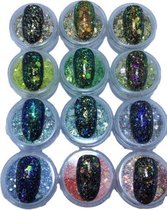Nailart Glitters - Nagel glitters - Korneliya HOLO Glitter Mix SET met 12 Stuks