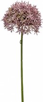 Emerald Allium/Sierui kunstbloem - losse steel - lila - 62 cm - Natuurlijke uitstraling