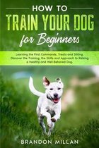 How to Train your Dog for Beginners