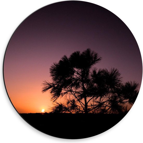 Dibond Wandcirkel - Bomen Silhouet tijdens Zonsondergang - 30x30cm Foto op Aluminium Wandcirkel (met ophangsysteem)
