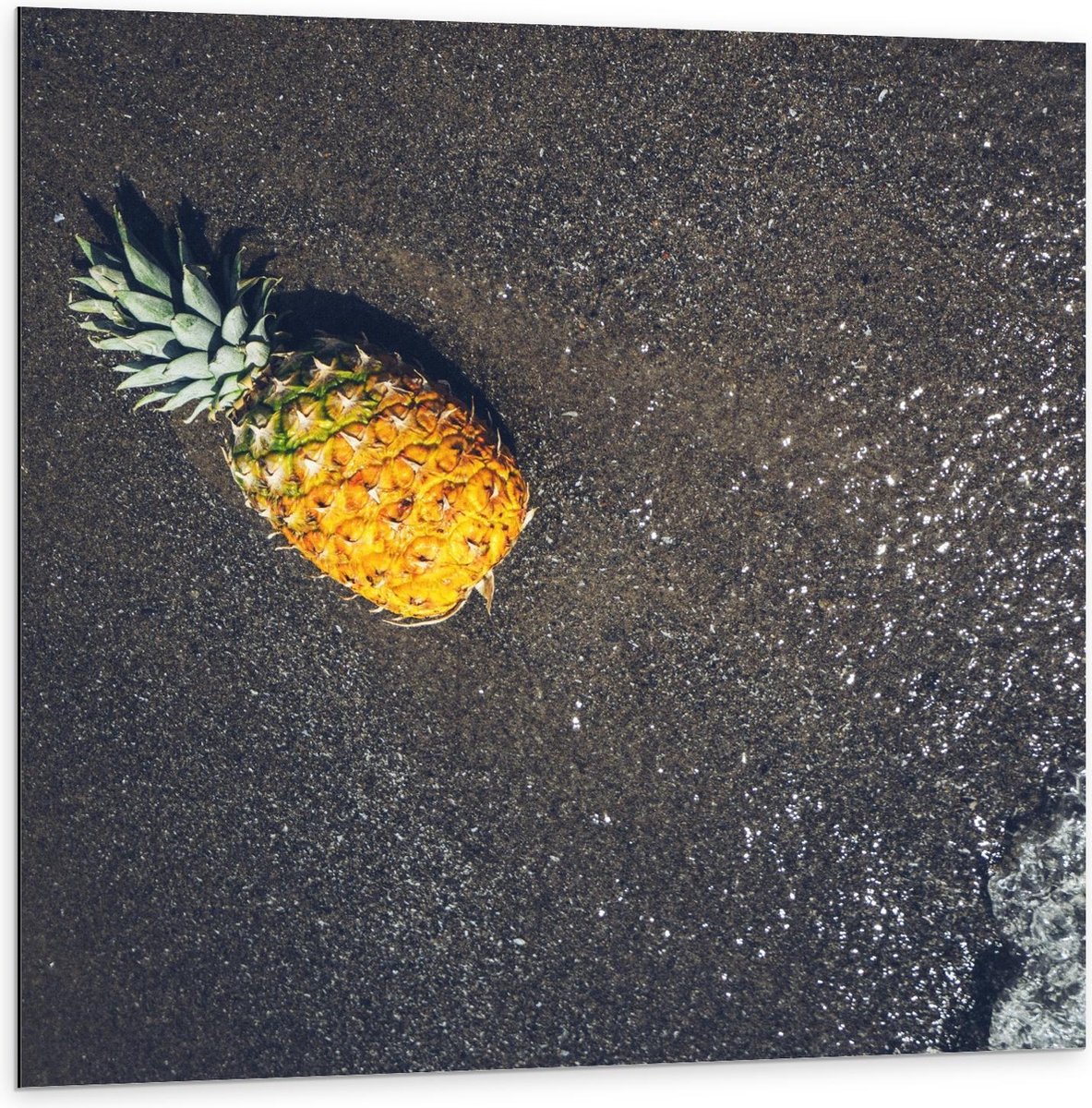Dibond - Ananas bij het Water - 100x100cm Foto op Aluminium (Wanddecoratie van metaal)