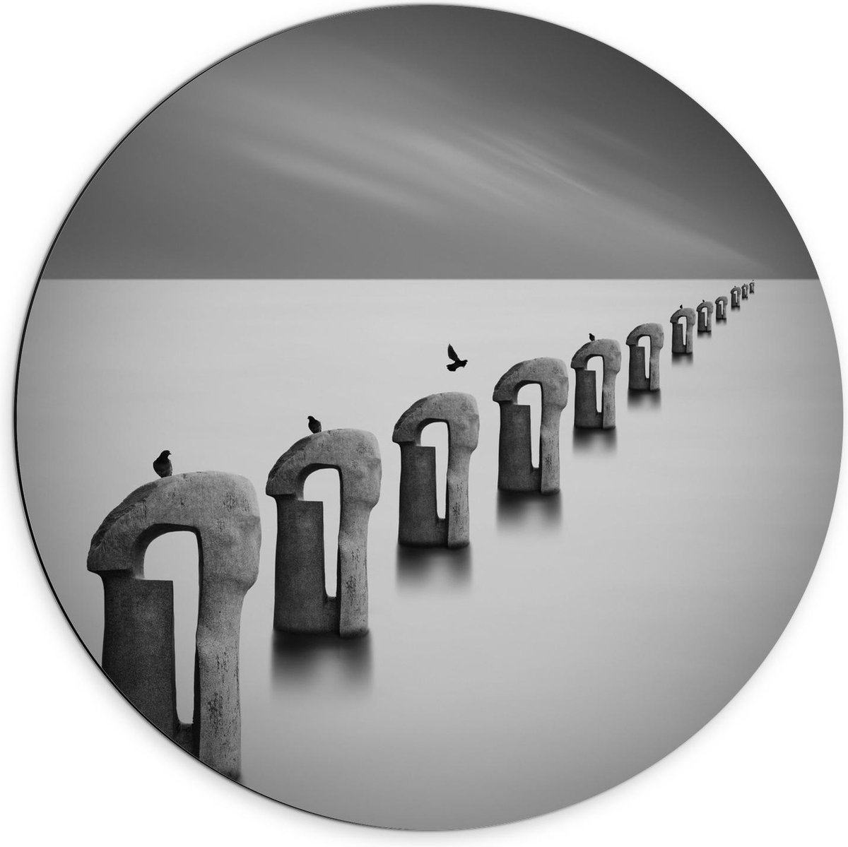 Dibond Wandcirkel - Vogels op Betonnen Palen ( Zwart Wit ) - 70x70cm Foto op Aluminium Wan