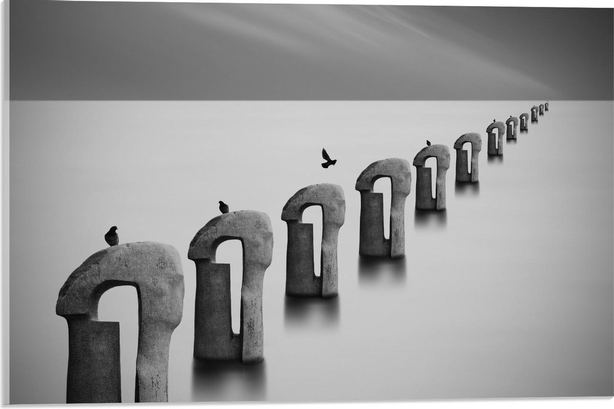 Acrylglas - Vogels op Betonnen Palen ( Zwart Wit ) - 60x40cm Foto op Acrylglas (Wanddecora