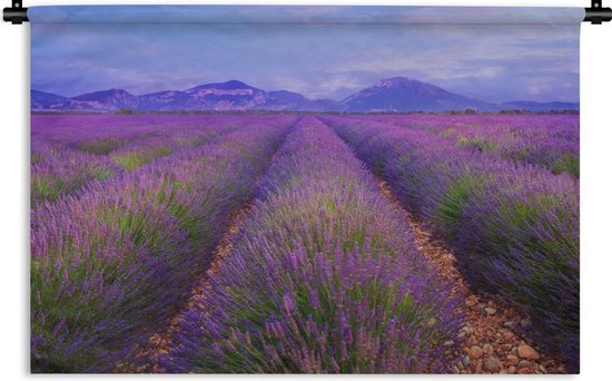 Wandkleed De lavendel - Lavendelvelden tijdens een schemering Wandkleed katoen 90x60 cm - Wandtapijt met foto