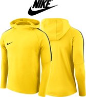 Nike Dri-Fit Academy 18 Hoodie Geel | Maat XL