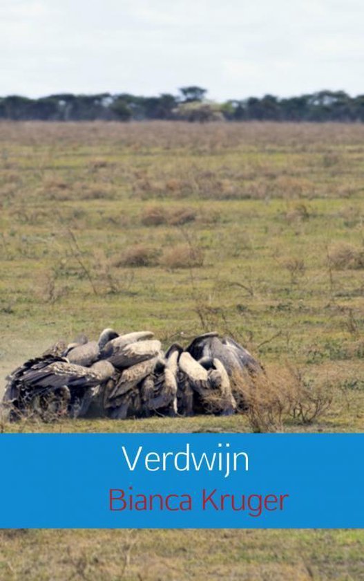 Cover van het boek 'Verdwijn'