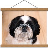 Schoolplaat – Boomer Hondje Zwart met Wit - 40x30cm Foto op Textielposter (Wanddecoratie op Schoolplaat)